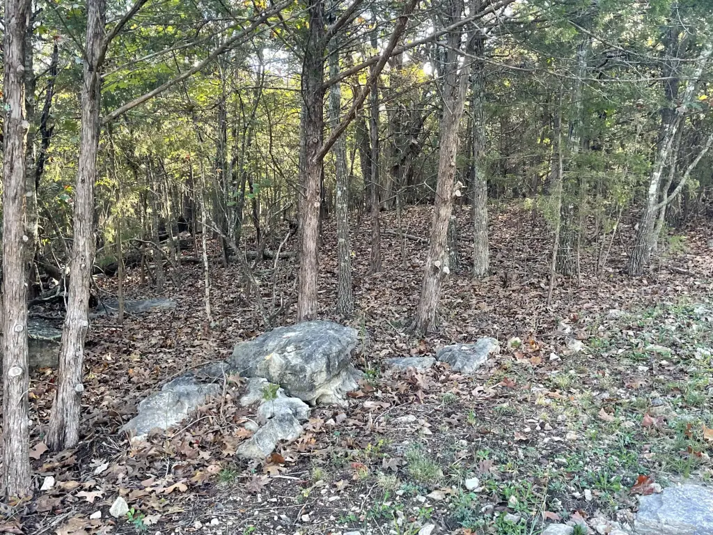 Picture 4