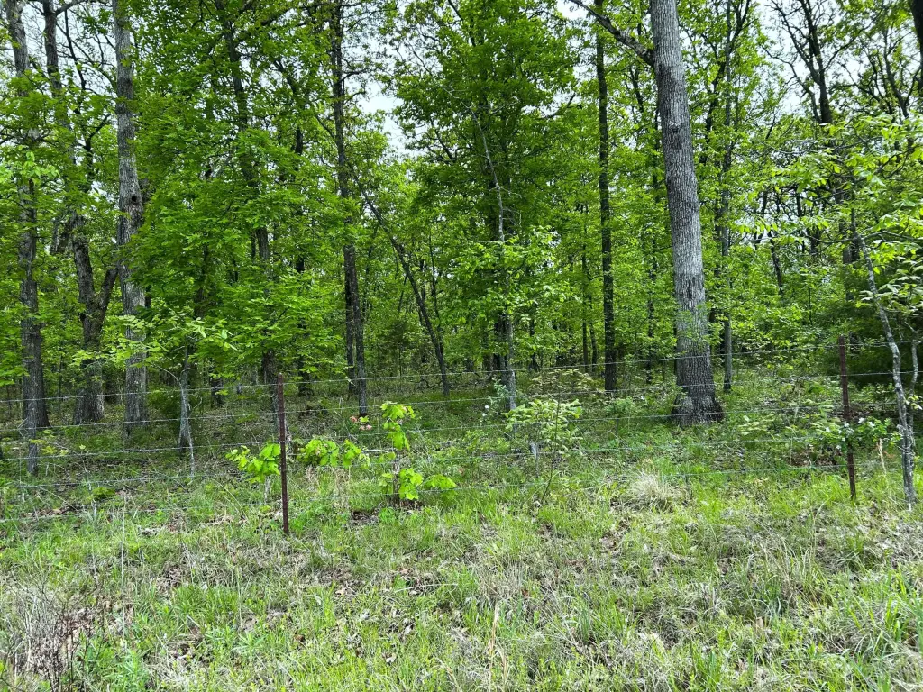 Picture 10