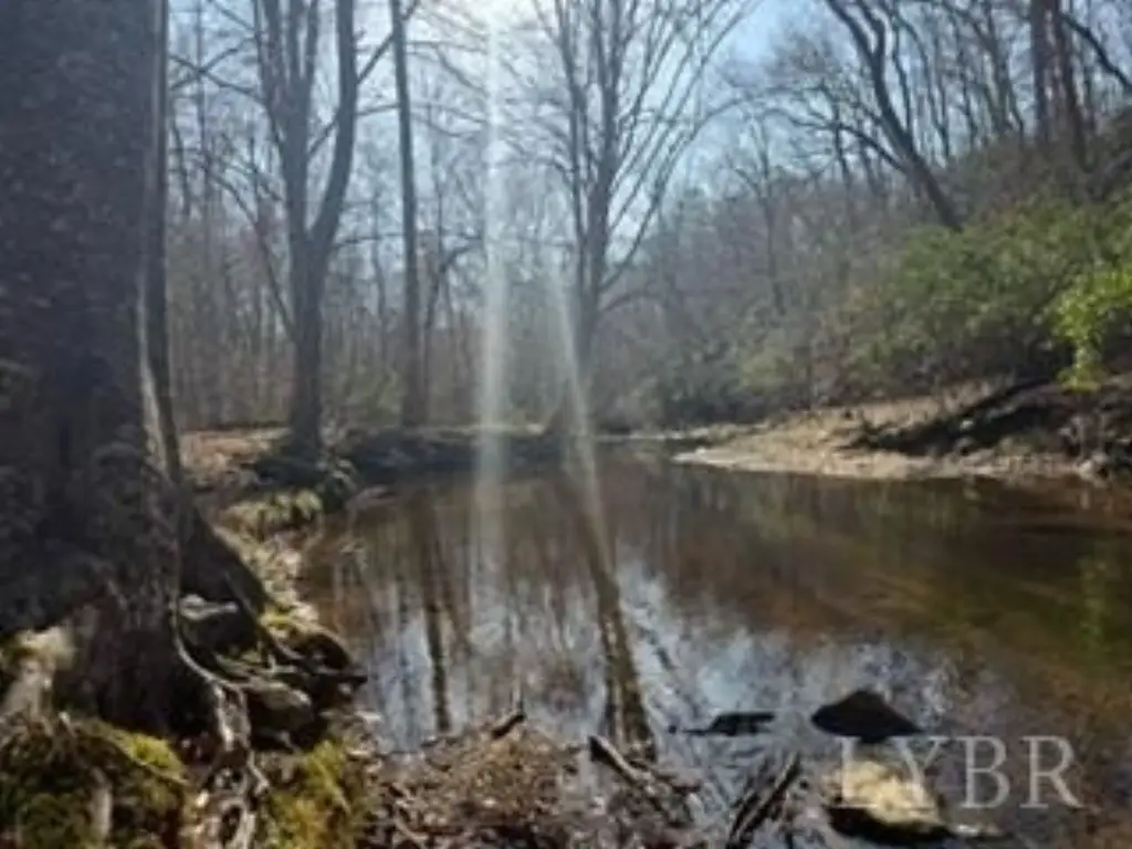 Picture 41