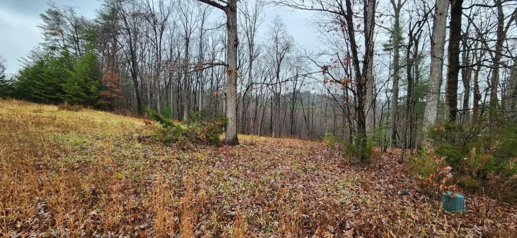 Picture 3