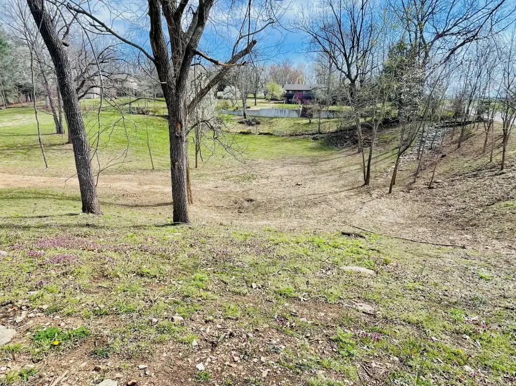 Picture 25