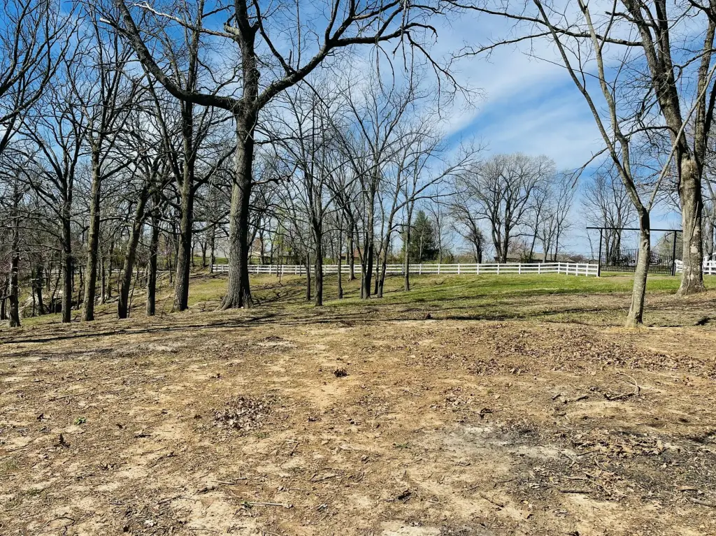 Picture 15