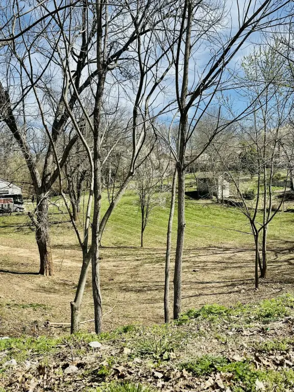 Picture 13