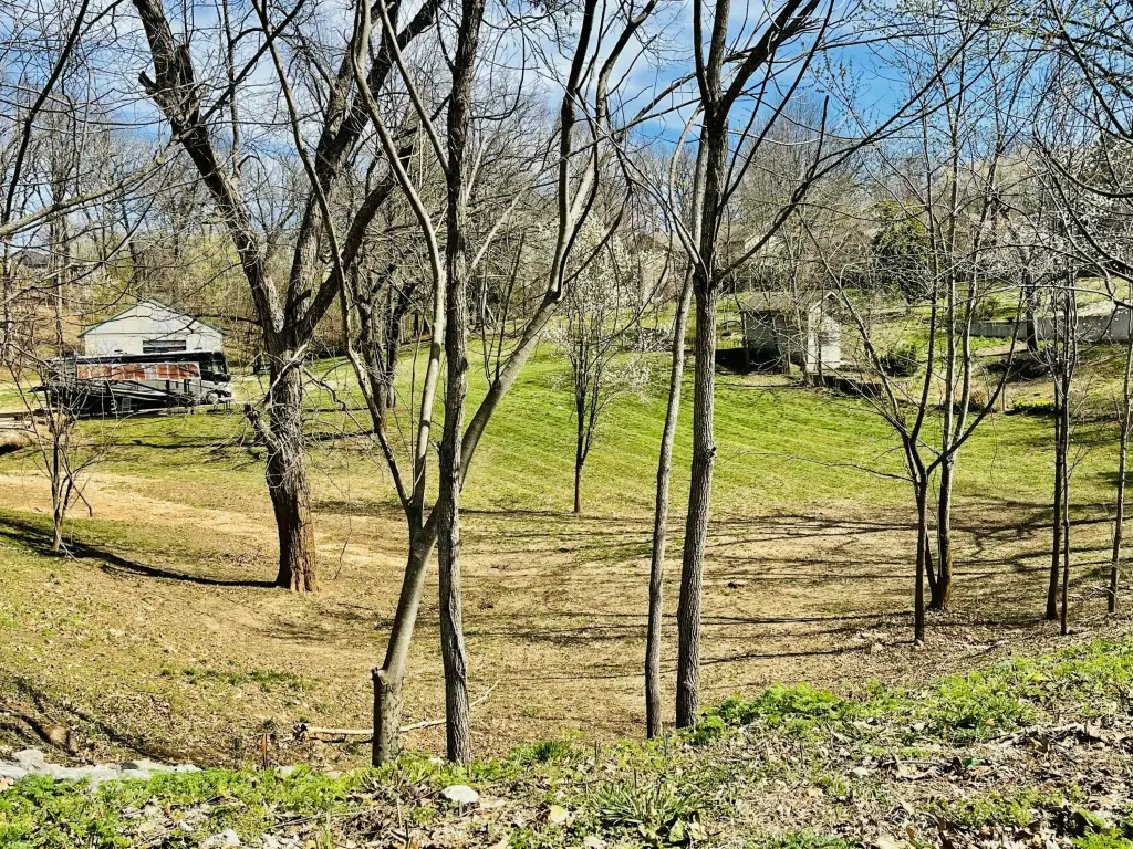 Picture 10