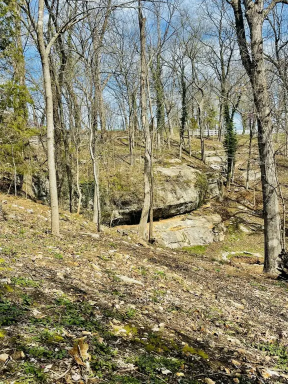 Picture 8