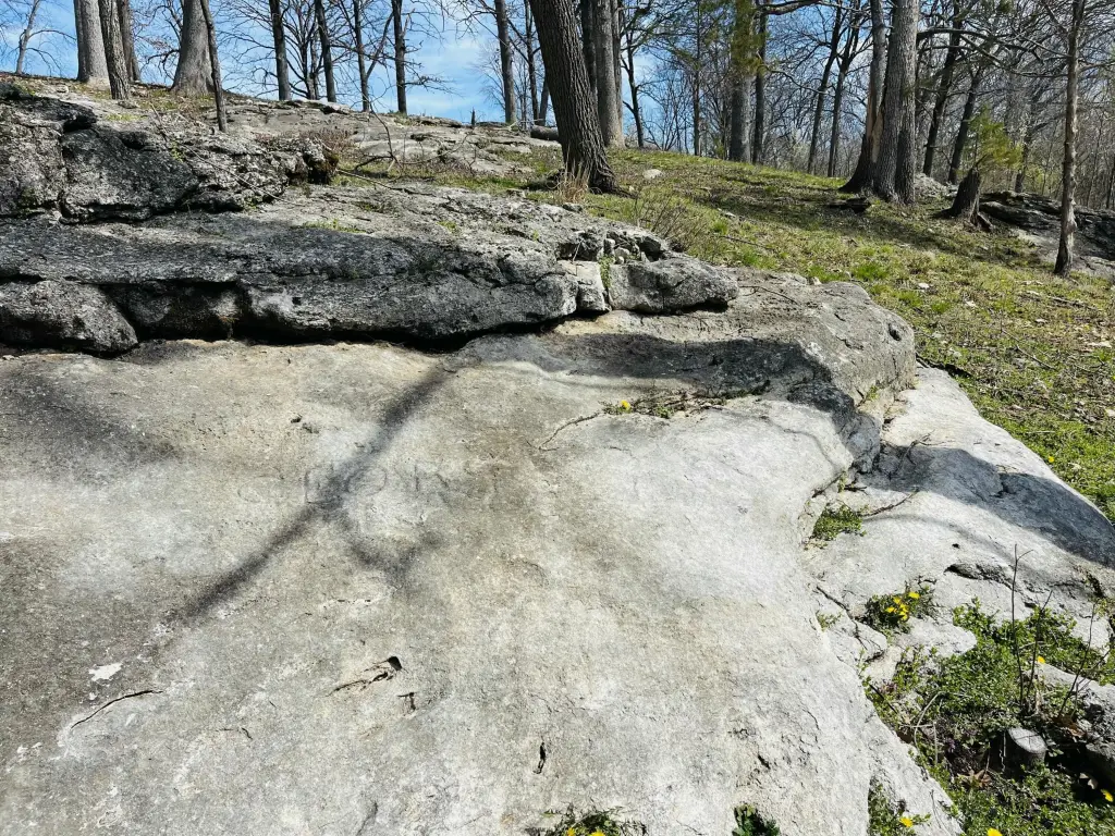 Picture 24