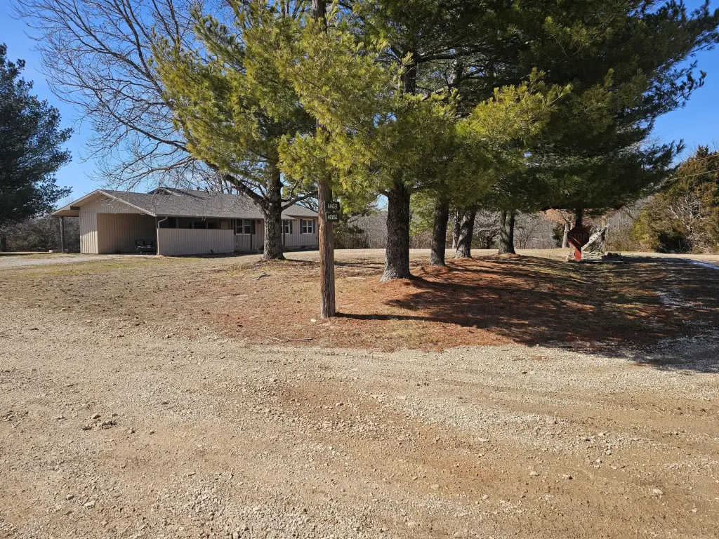 Picture 7