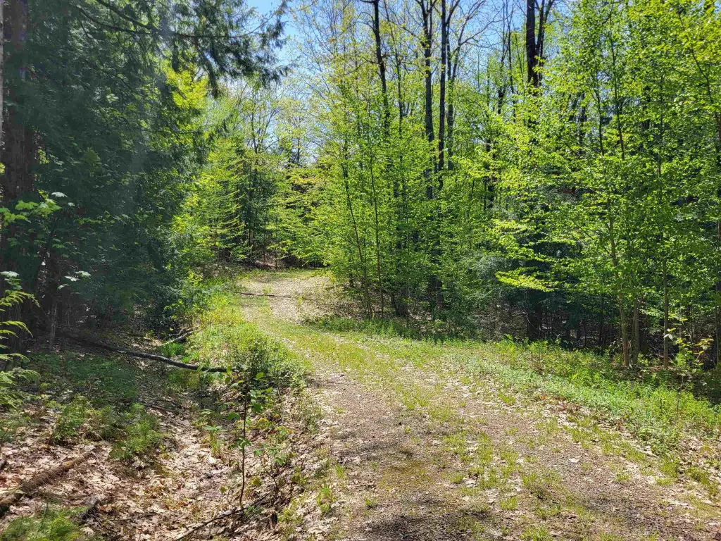 Picture 19