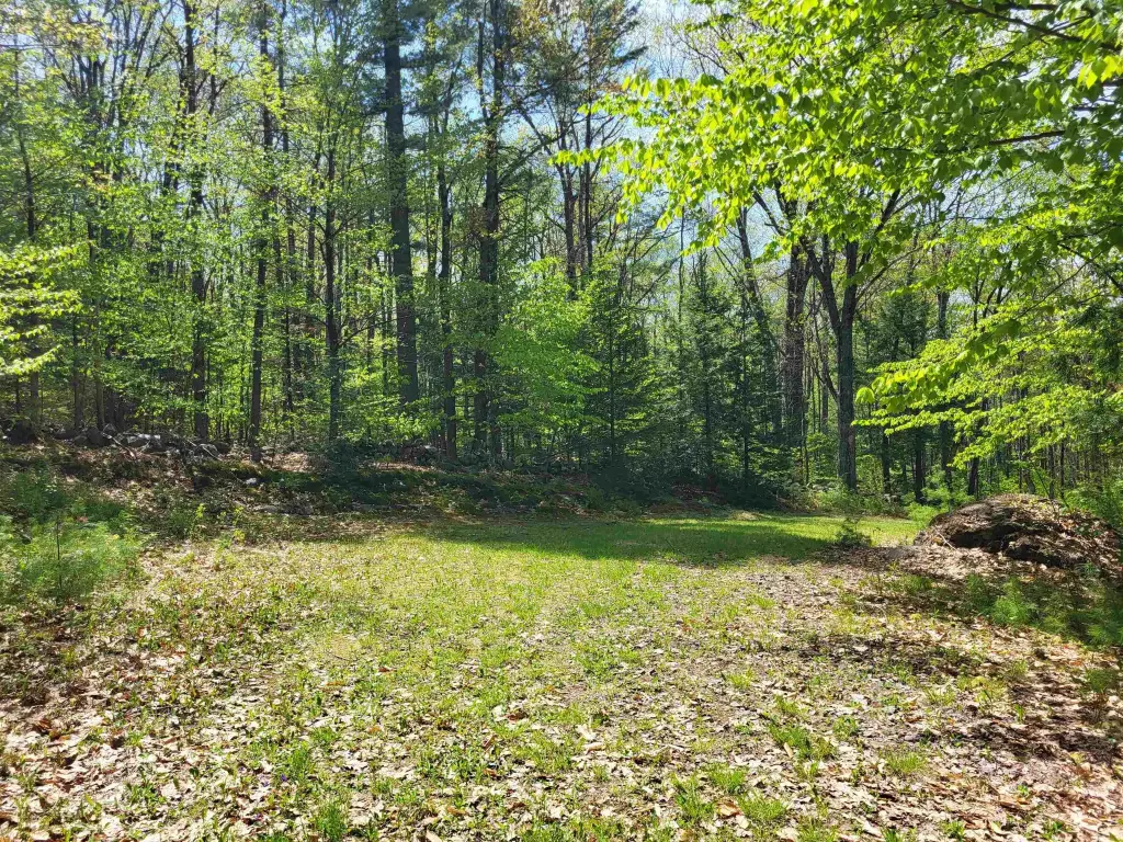 Picture 21