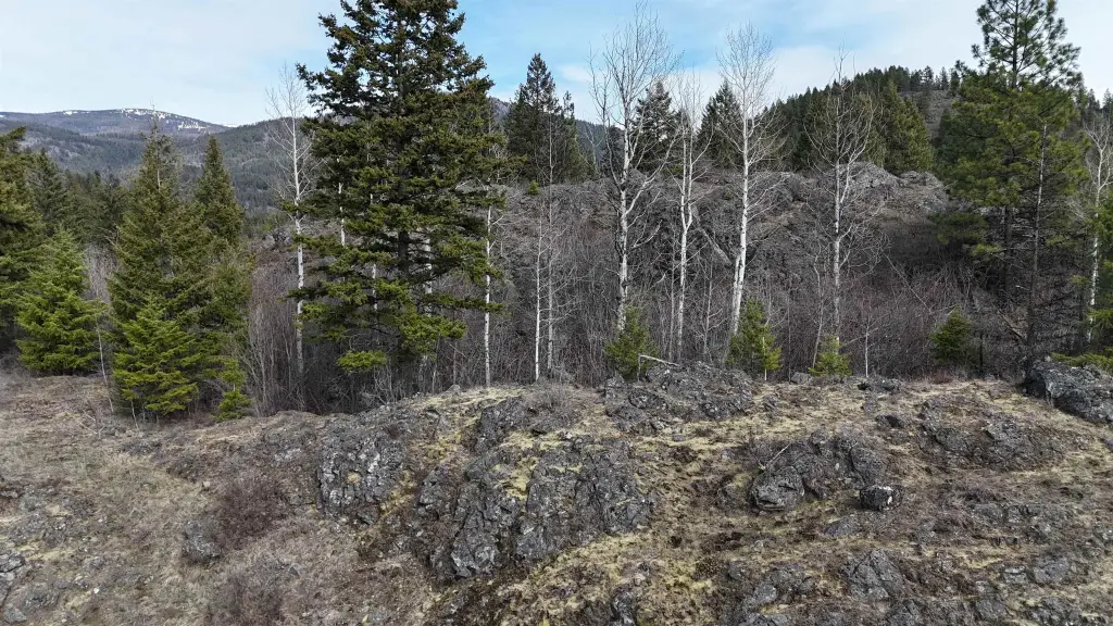 Picture 25