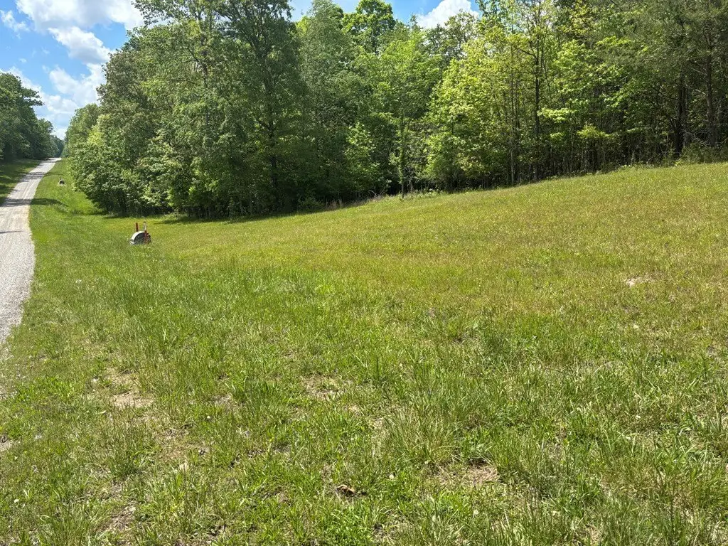 Picture 6