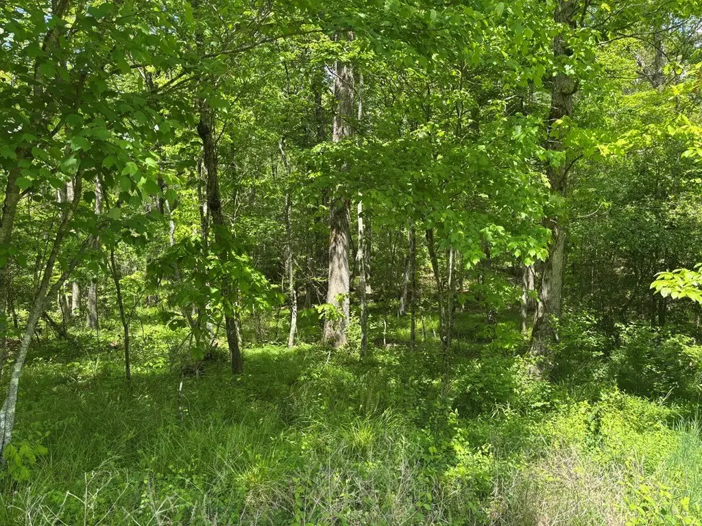 Picture 4
