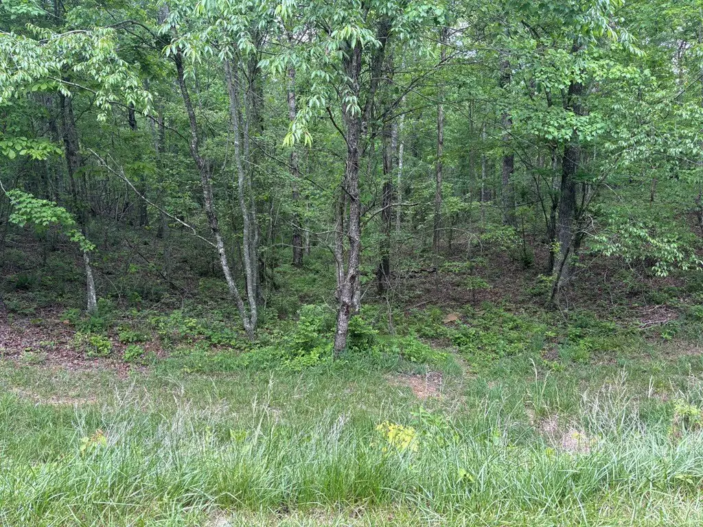 Picture 2