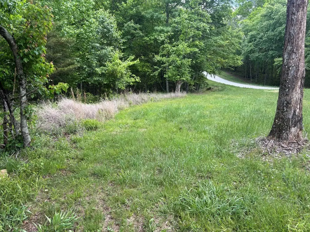Picture 3