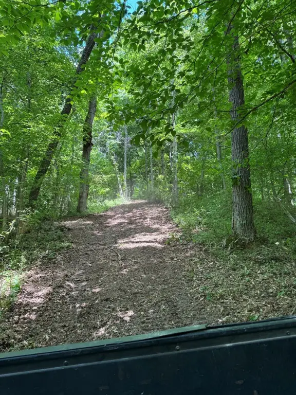 Picture 25