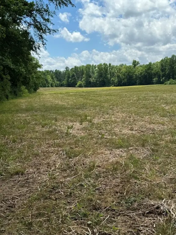 Picture 24