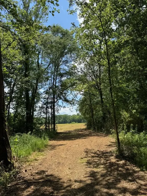 Picture 28