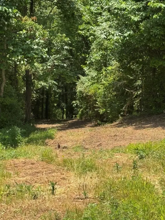 Picture 25