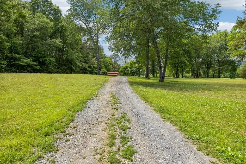 Picture 30