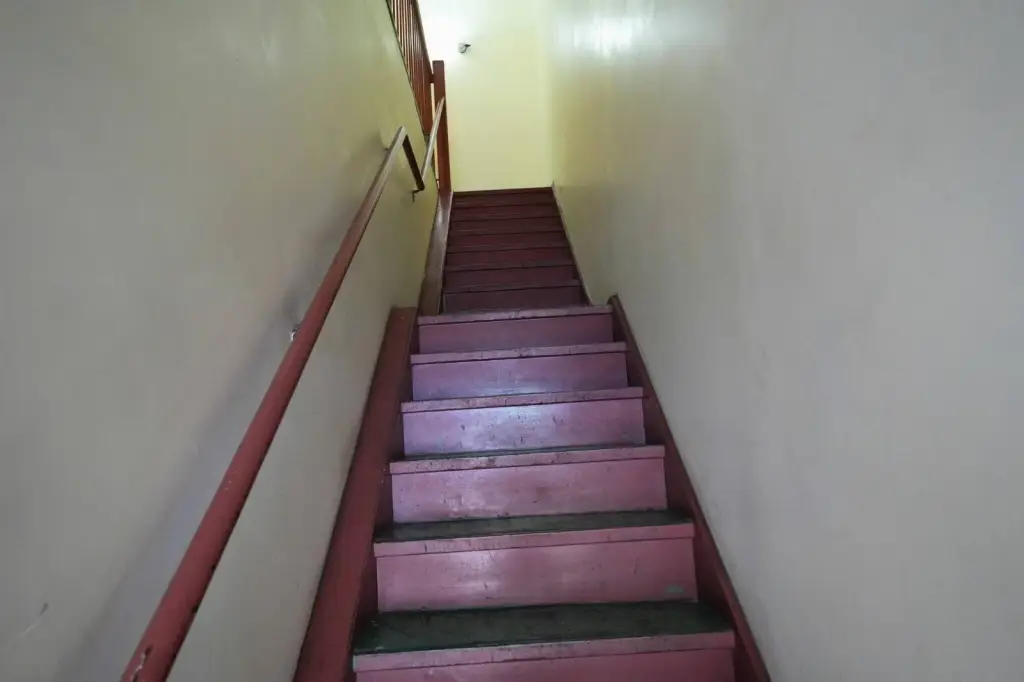 Picture 13