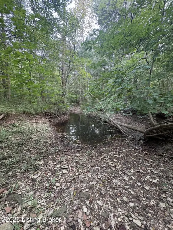 Picture 56