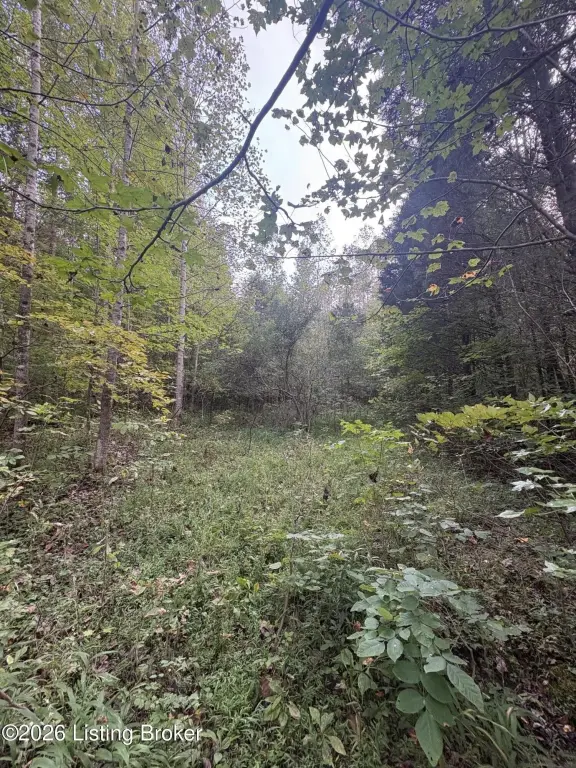 Picture 52