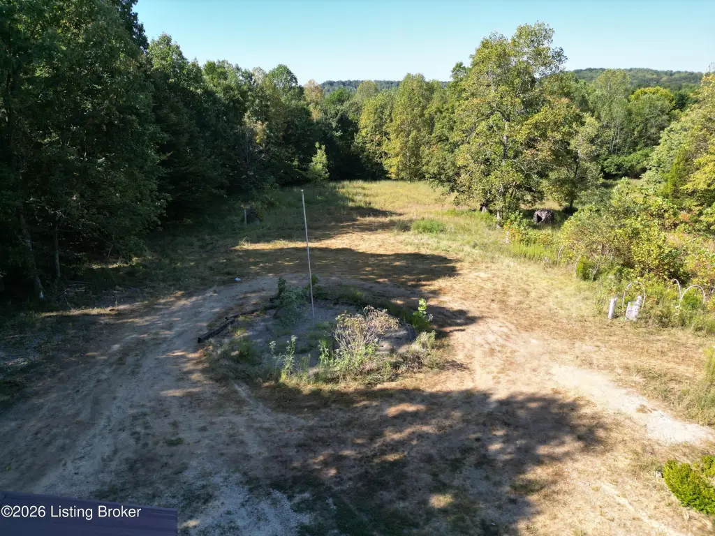 Picture 10