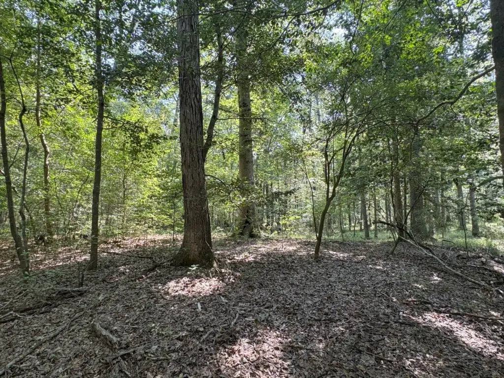 Picture 30