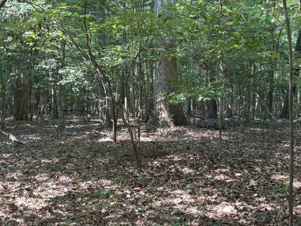 Picture 14