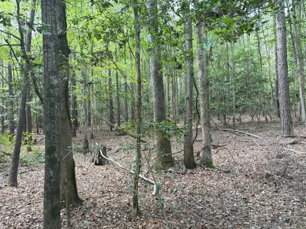 Picture 47