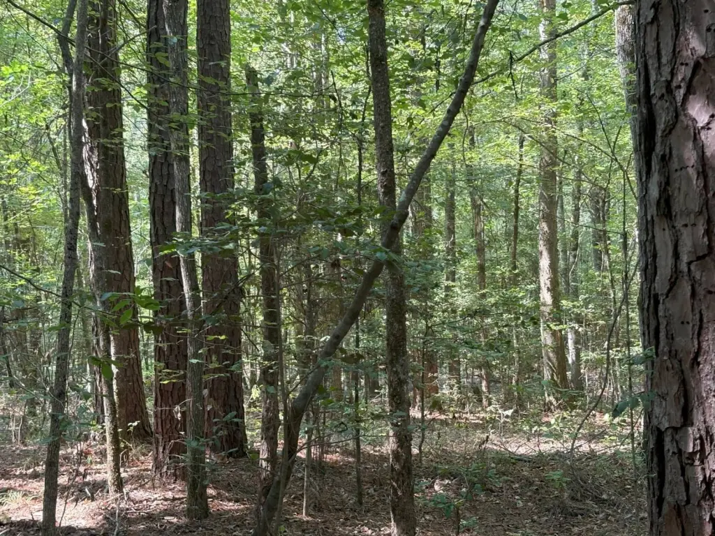 Picture 23