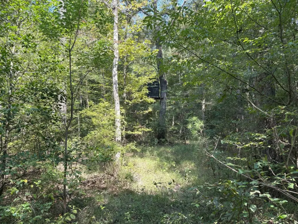 Picture 41