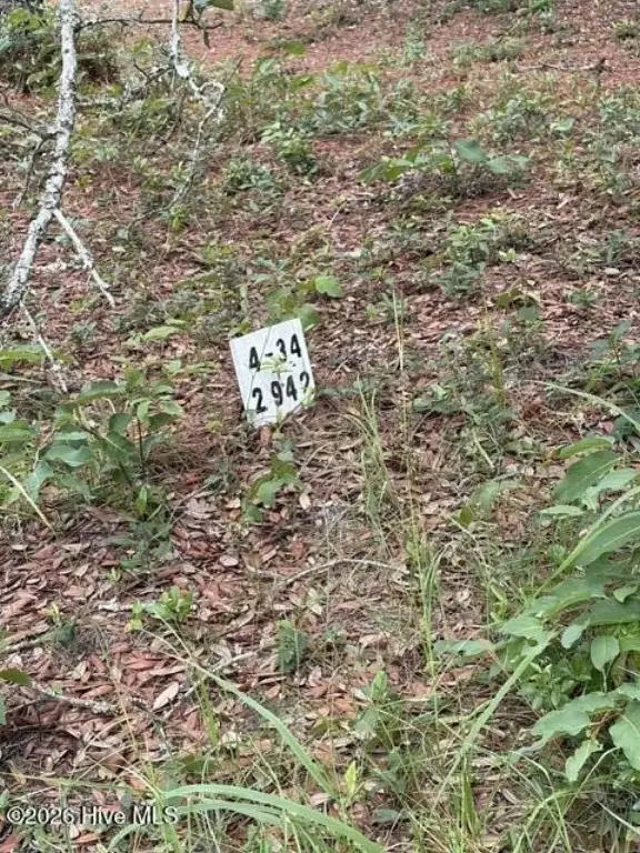 Picture 4