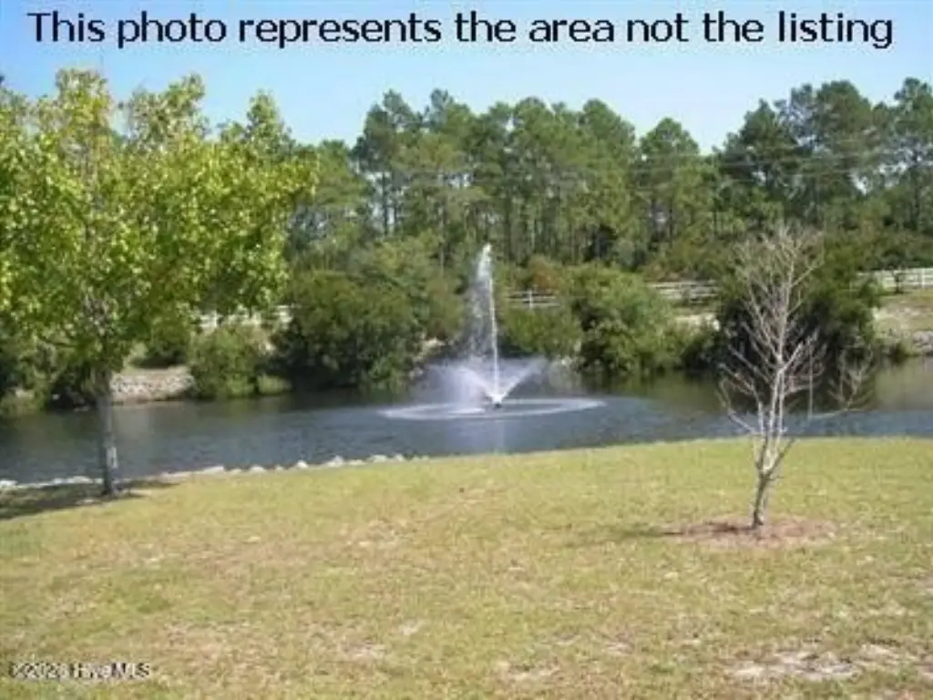 Picture 5