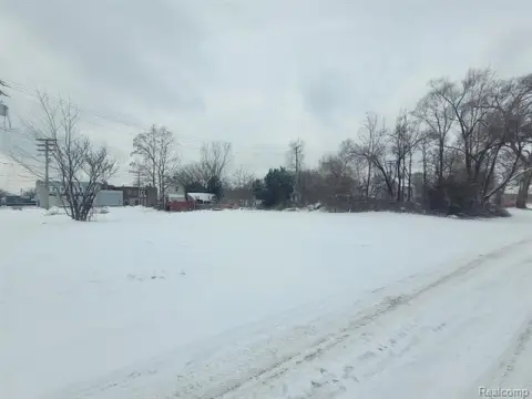 Detroit Land Bank Vacant Land