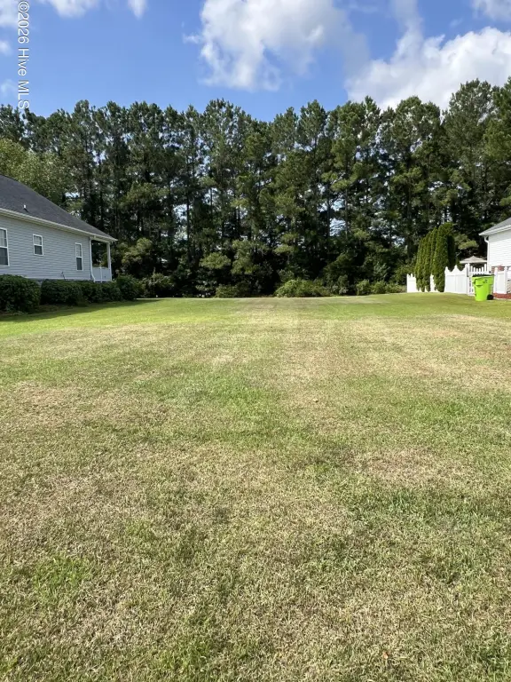 Picture 2