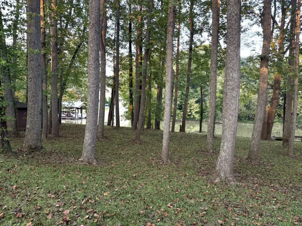 Picture 13