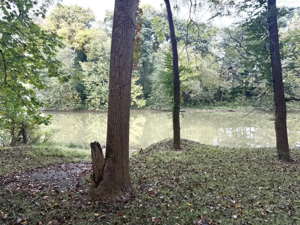 Picture 4