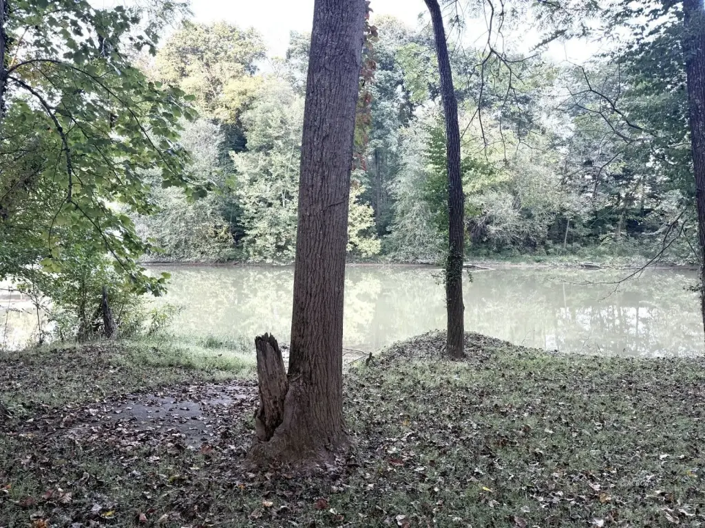 Picture 3