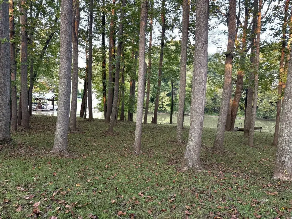 Picture 12