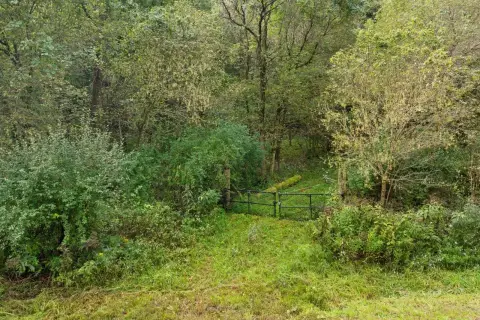 Hunting Land with Trails