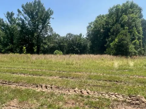 Vacant Land in Magnolia, AR