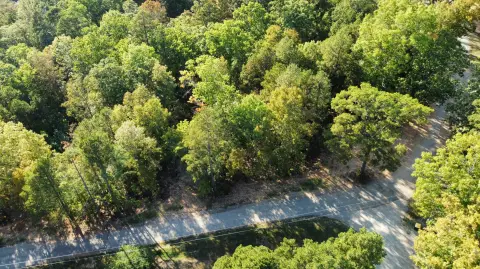 Residential Lot in Pine Hills