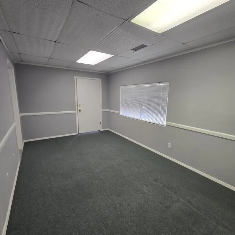 Picture 5