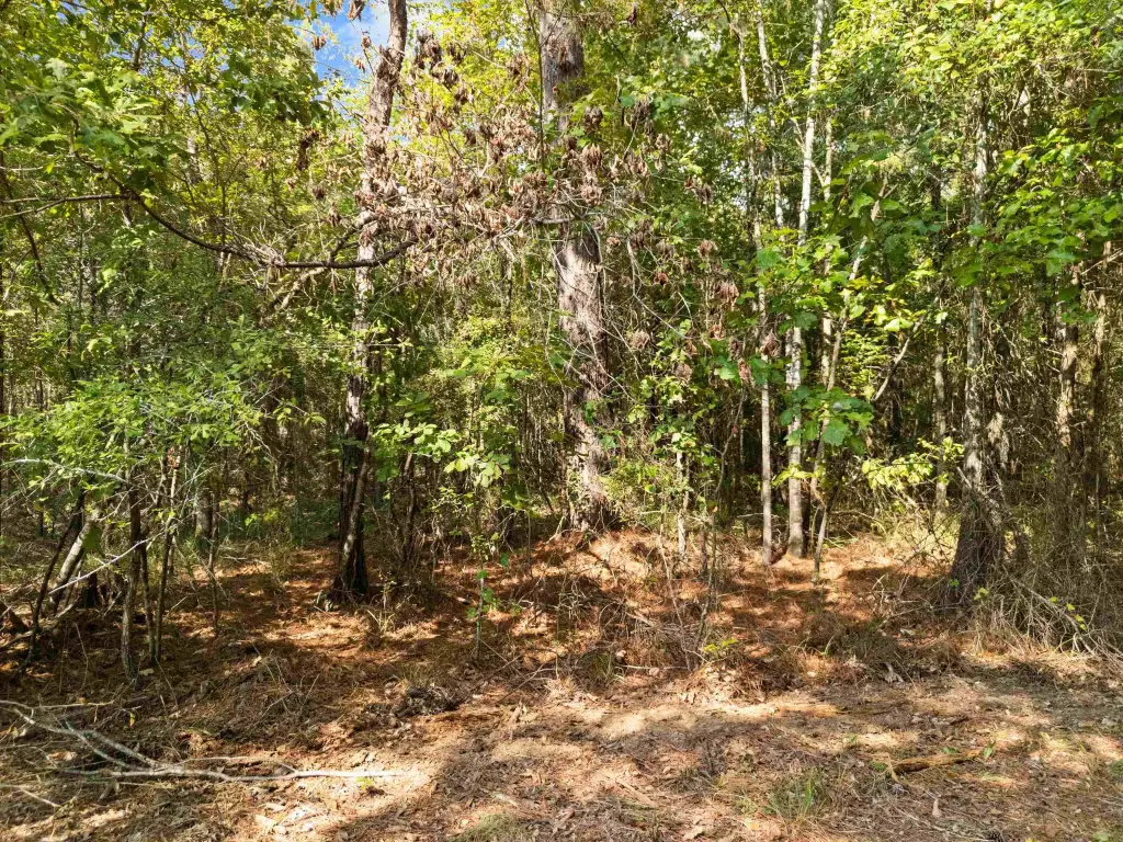 Picture 17