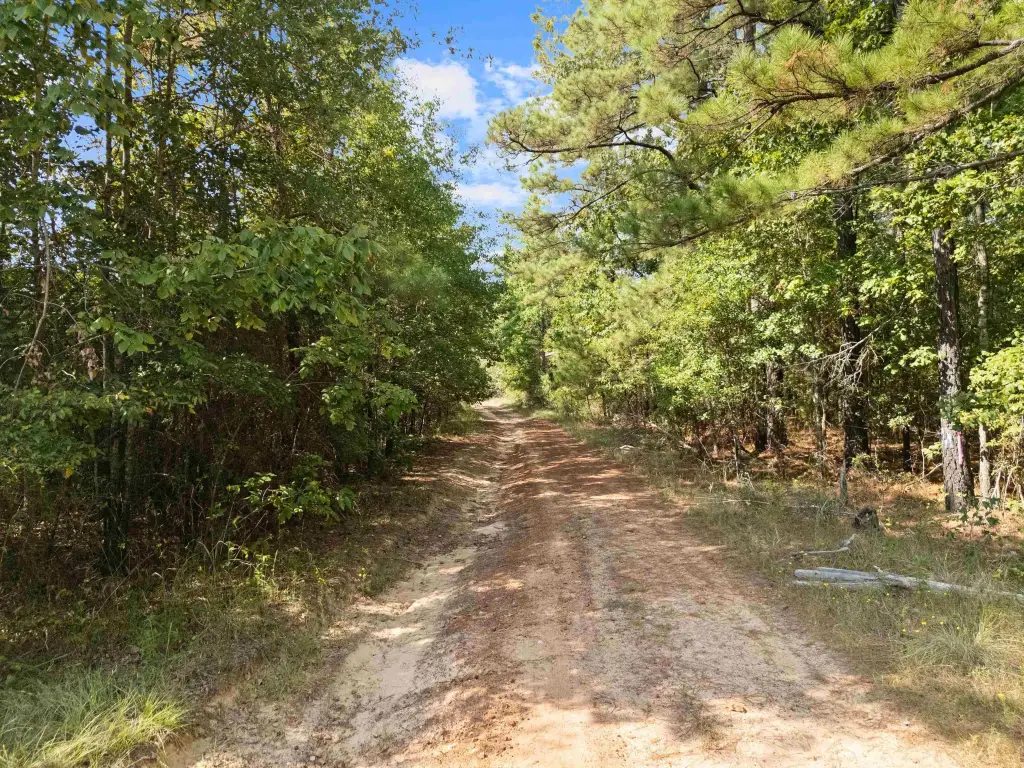 Picture 20