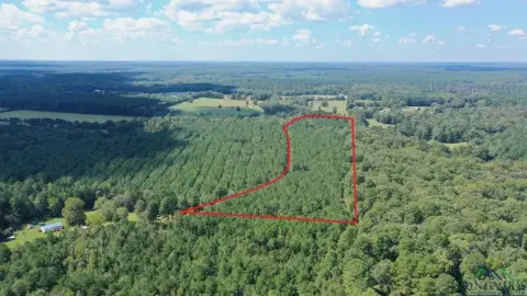 Northeast Texas Pineywoods Paradise