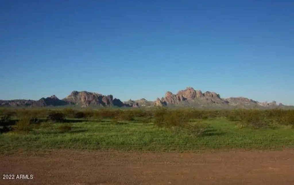 Picture 25