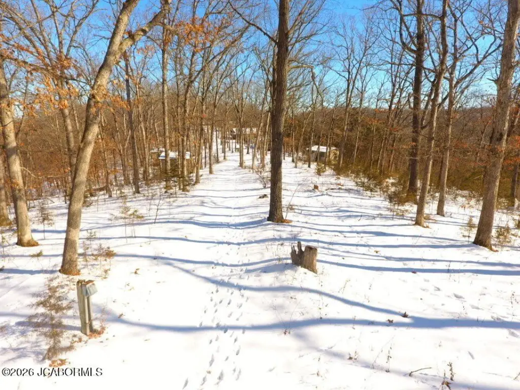 Picture 66