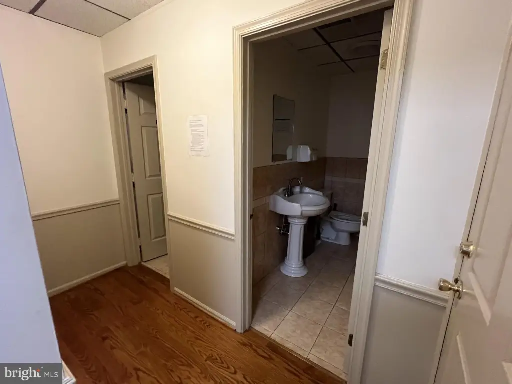 Picture 11
